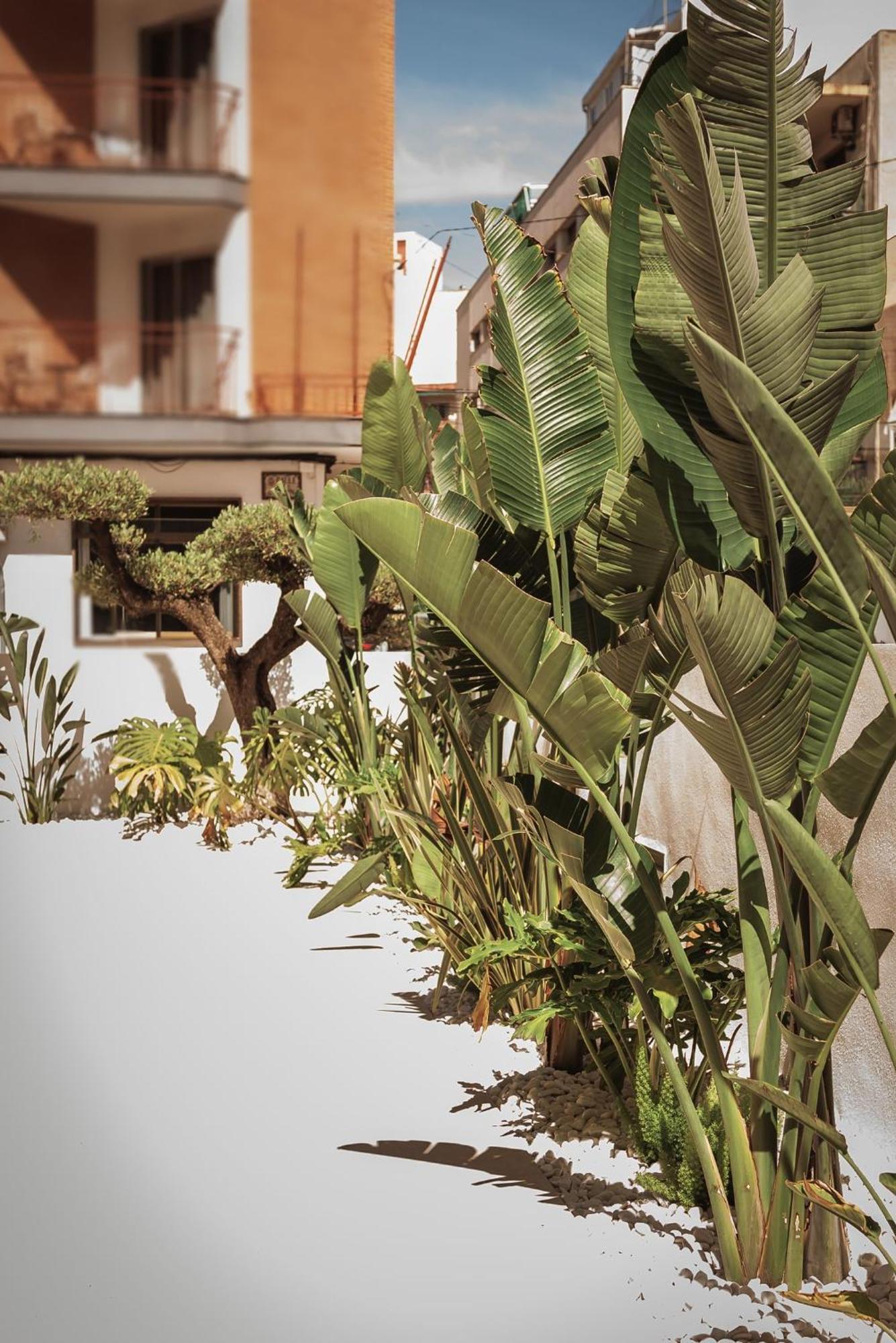 בנידורם Hotel Camposol מראה חיצוני תמונה